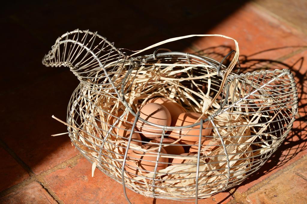 Bed & Breakfast Charmilles Des Cordeliers